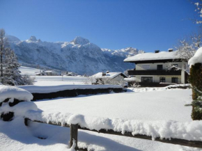 Ferienwohnung Ronacher, Abtenau, Österreich